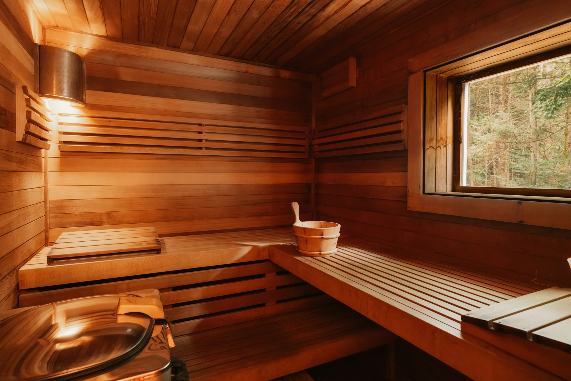 Sauna sa klupama i pogledom na šumu